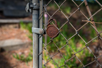 Chain link fence with rusted padlock opening in nature area