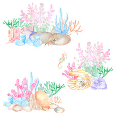 Watercolor set of pictorial objects of coral, algae, seashells. Perfect for designing cards, invitations, logos, websites, textiles, souvenirs, decoupage and other creative projects.