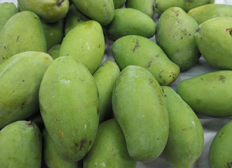 Full frame shot of fresh raw mango for sale in local market. raw mango background, farmer fruit market.