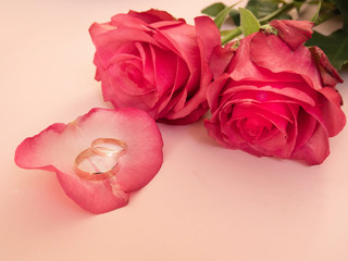 Fototapeta na wymiar Wedding celebration with pink rose bouquet, gold wedding rings isolated on pink background.