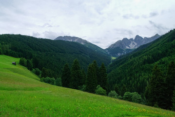 Fototapeta na wymiar Summer view to meadow and mountain range in Axamer Lizum area, Tyrol, Austria