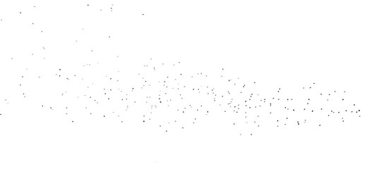 Flock of birds isolated on white background