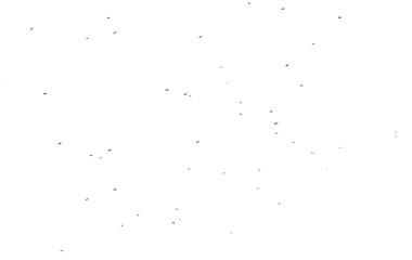 Flock of birds isolated on white background