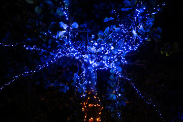 Glowing blue lanterns hang on trees in nature