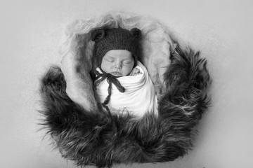 a newborn baby in a knitted hat with ears. Imitation of a baby in the womb. Portrait of a newborn.. The concept of health , parenting, children's Day, medicine, IVF, fashion