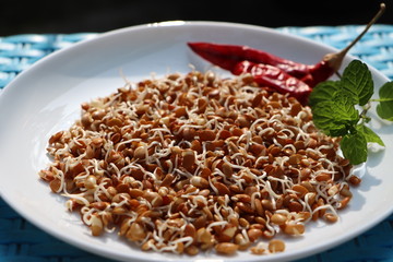 Horse gram sprouts, Macrotyloma uniflorum, germinated beans as healthy breakfast, macrobiotic diet