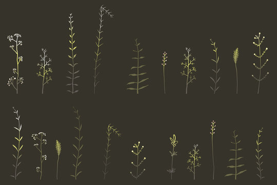 Wild herbs and grass hand drawn clip art elements on black background, isolated meadow herbal shapes with dark gradient.