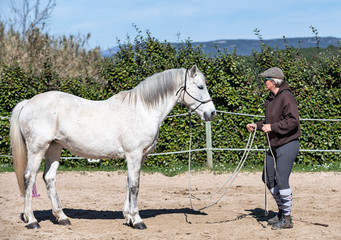 training of equifeel