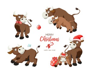 Merry Christmas Funny cows set on white background. Card cartoon style