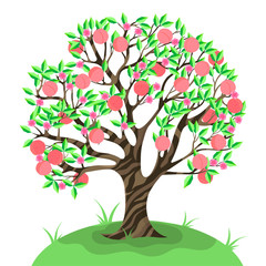 Peach tree isolate on a white background. Vector graphics.