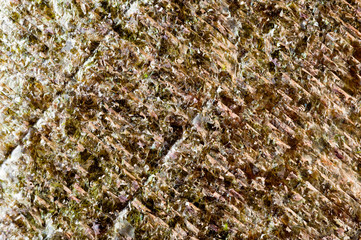 Nori seaweed dried in flat sheets. For making sushi, rolls and other dishes. Background for asian food.