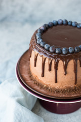 Chocolate birthday cake with blueberries and chocolate icing on a light background