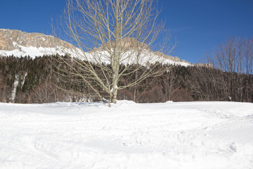 Beautiful mountains covered with snow. Sunny day and blue sky on a frosty day