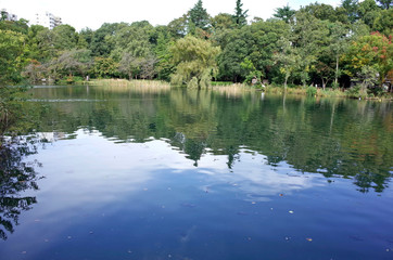 井の頭恩賜公園　井の頭池