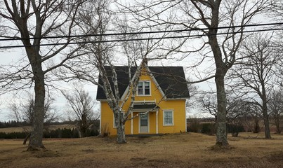 Pretty yellow country house, very typical of older times and children's drawings. This house has a...