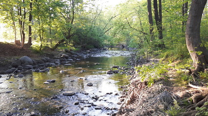 A nice pebbled creek  on a very tranquil atmosphere 