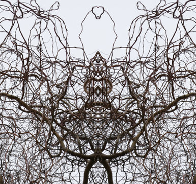 Closeup view of symmetry  pattern. There are willow branches. Yoy can see many imageries in this picture.