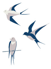 Obraz premium Vector illustration of a swallow set