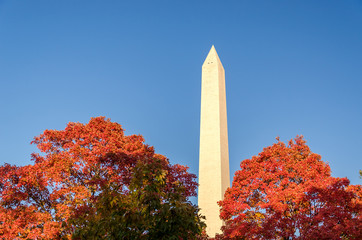 Washington monument in Washington DC, United States of America, USA