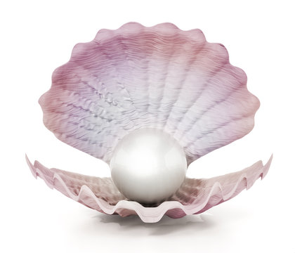 Oyster with a giant pearl isolated on white background. 3D illustration