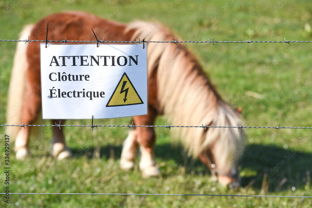 Poster animaux cloture electricité electrique poney