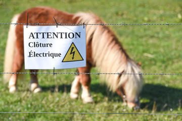 animaux cloture electricité electrique poney © J-L Flémal - BE