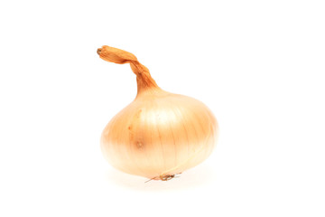 Onions isolated on white background