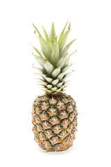 Fototapeta premium single whole pineapple isolated on white background