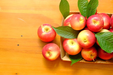New Zealand apple on background