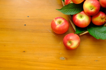 New Zealand apple on background