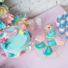 Little bird Candy Bar. Delicious sweet buffet with cake. A beautiful cake decorated with pink bird topper. 