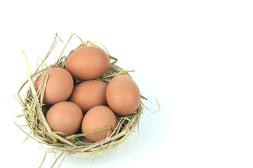 Eggs in the basket Isolated on White Background with copy space for writing text .