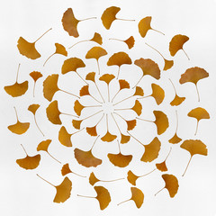 création avec feuilles de gingko biloba