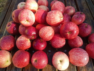 fresh red apples on a wooden table