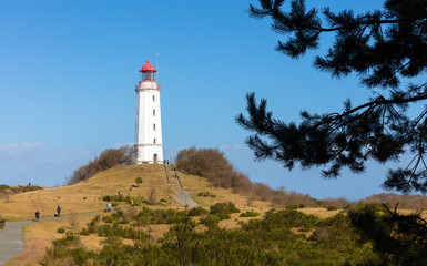 Fototapeta na wymiar The Dornbusch lighthouse on the German island of Hiddensee in the Baltic Sea. It is a beautiful winter day with blue sky and sunshine. In the foreground a pine tree.