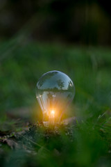 glass of water in the garden