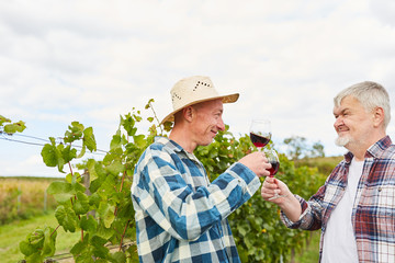 Two winegrowers drink a glass of red wine