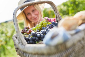 Picnic basket with white and red grapes