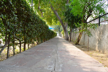 Jogging Track in The Green Park. Day Photograph