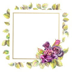 Flowers of dark roses, green leaves, composition in a geometric Golden frame. The concept of the wedding flowers. Square frame. Watercolor compositions for the design of greeting cards or invitations.