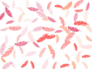 Detailed majestic feather on white design.