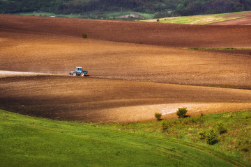 Ukrainian agriculture