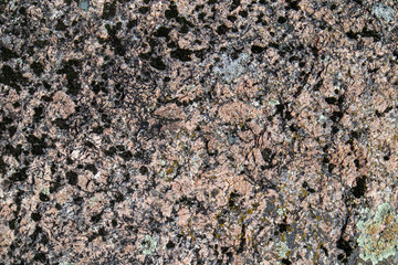 rapakivi granite surface, Finland