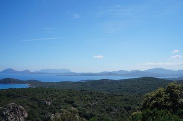 Naklejka premium 0146