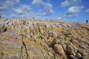 Skåne Küste an der Ostsee in Schweden Vårhallen Österlen	