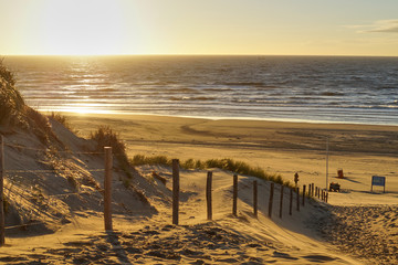 Sunset at the beach of Bloemendaal aan Zee with seagulls and marram grass, Holland, Netherlands - obrazy, fototapety, plakaty