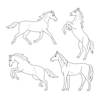 Set of line horses. Isolated black outline galloping, jumping running, trotting, rearing horse on white background. Side view. Curve lines. Page of coloring book.