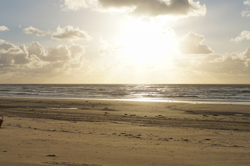 Sunset at the beach of Bloemendaal aan Zee, Holland, Netherlands - obrazy, fototapety, plakaty