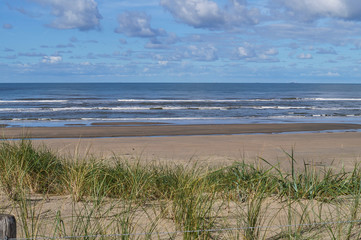 Dunes with marram grass at the beach of Bloemendaal aan Zee, Holland, Netherlands