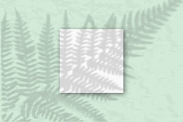 1 square sheet of white textured paper against a gray-green wall. Mockup with an overlay of plant shadows. Natural light casts shadows from the fern leaves. Flat lay, top view